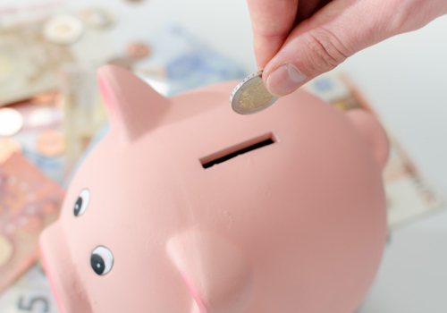 Spaarvarken met geld