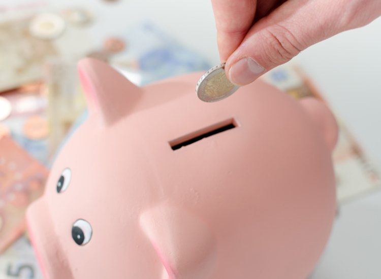 Spaarvarken met geld