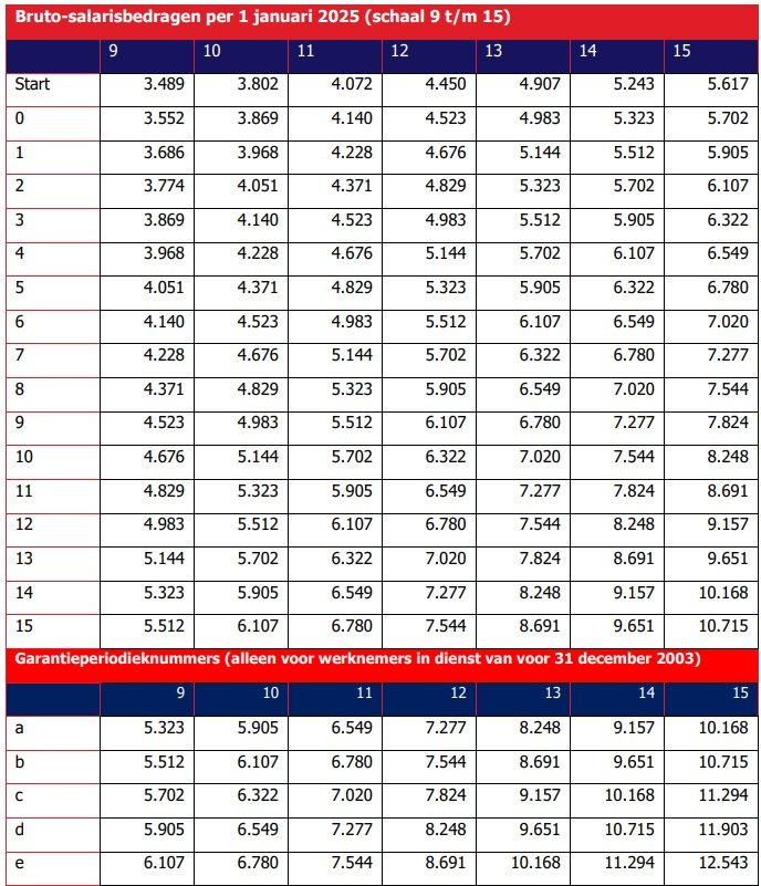 Bruto-salarisbedragen per 1 januari 2025 (schaal 9 t/m 15)